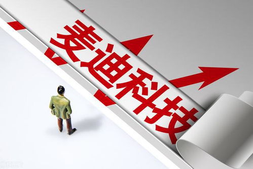 A股國產(chǎn)軟件低估值龍頭公司一覽（附知識產(chǎn)權服務領域名單）
